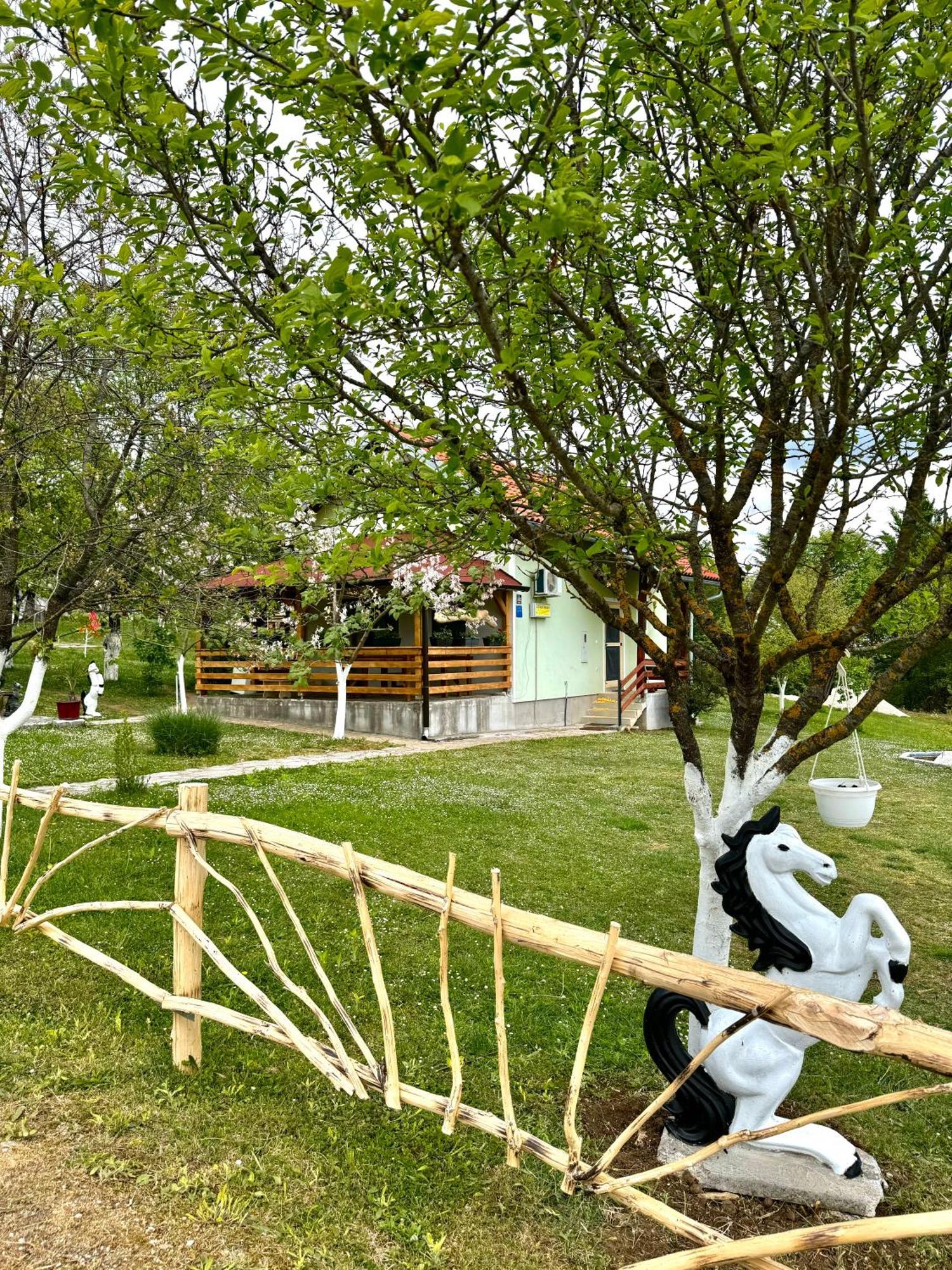 Apartment Valentina Brocanac Dış mekan fotoğraf